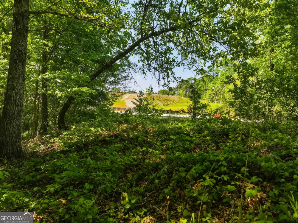 LOT 7 Summit DR Dahlonega, GA 30533