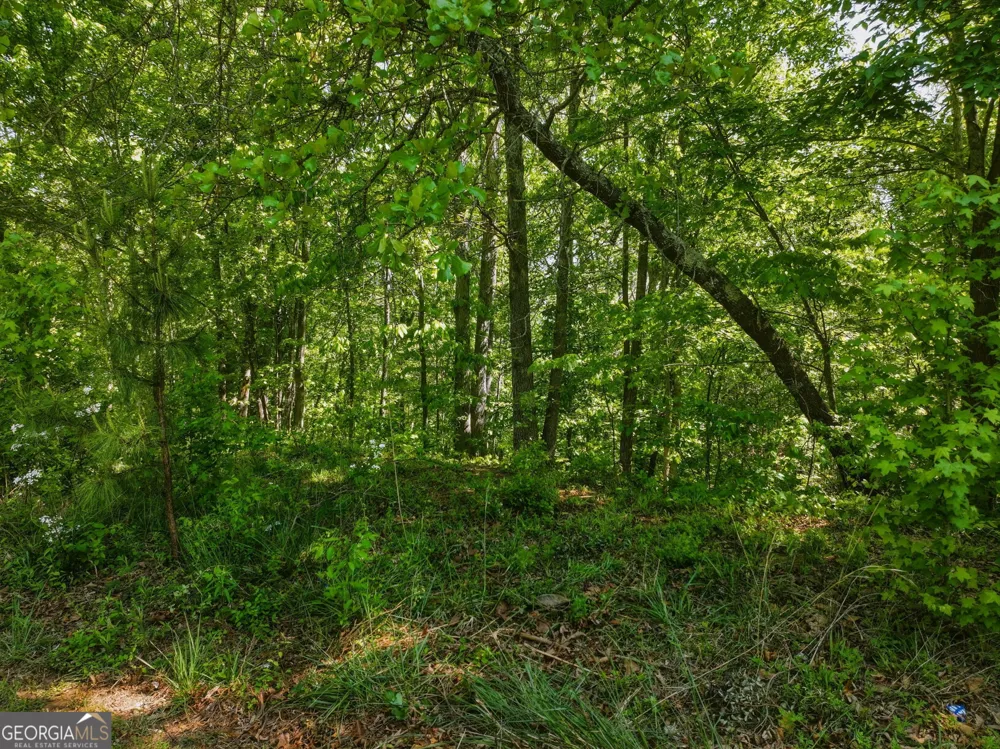 LOT 7 Summit DR Dahlonega, GA 30533