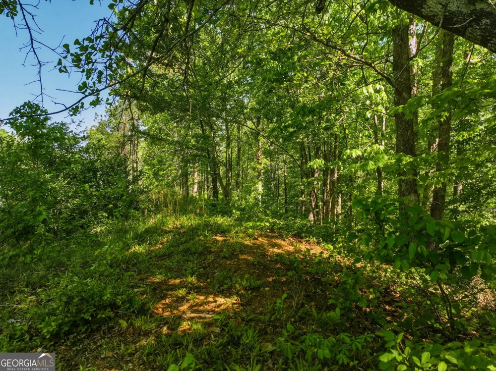 LOT 7 Summit DR Dahlonega, GA 30533