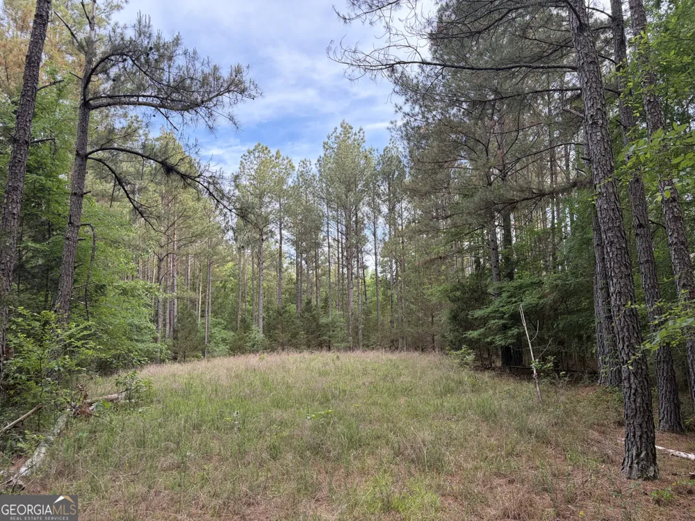0 Get-A-Way LN Carlton, GA 30627