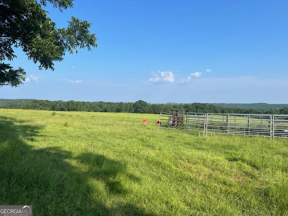 0 53 HWY Clayton, AL 36016