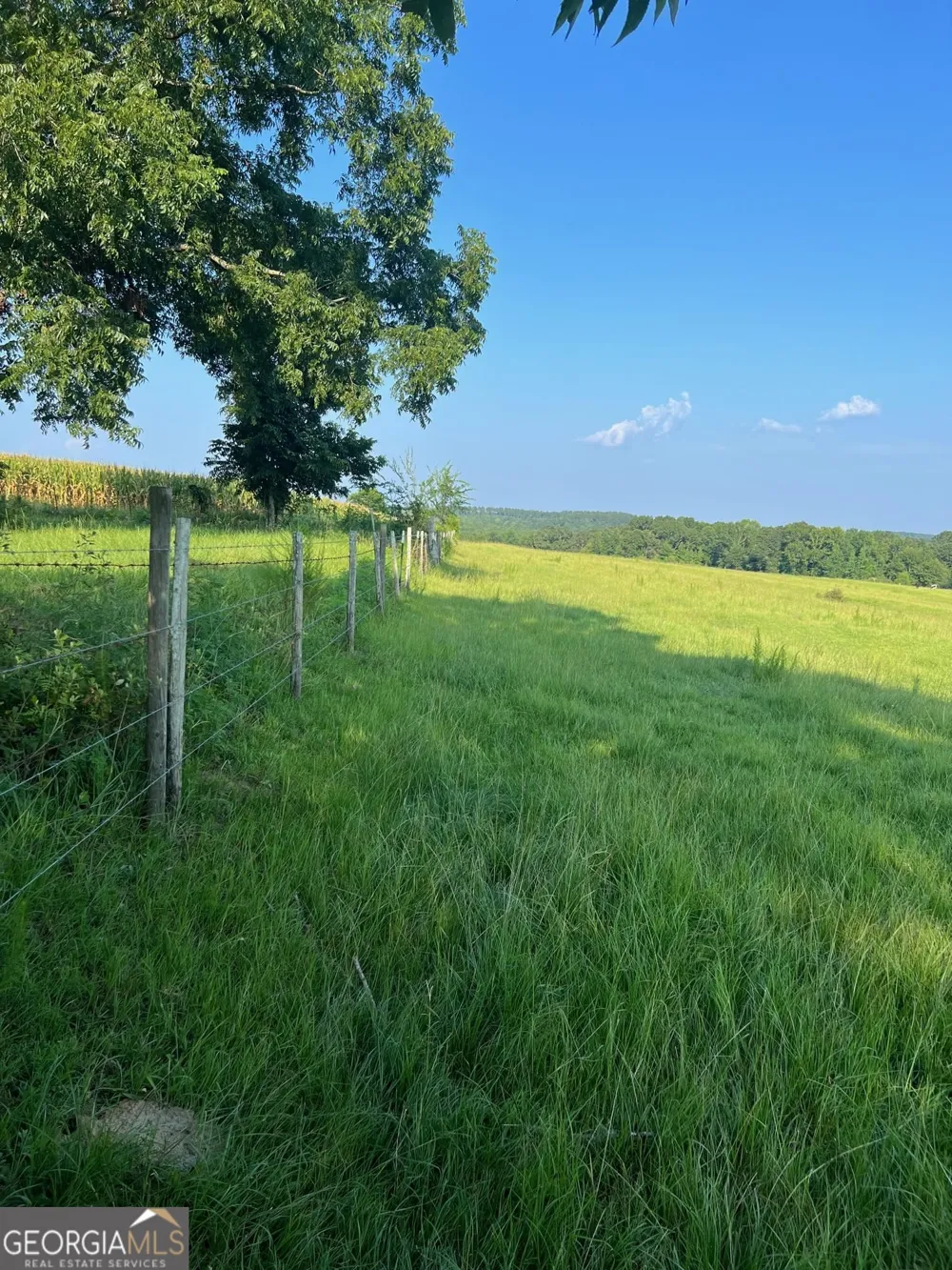 0 53 HWY Clayton, AL 36016