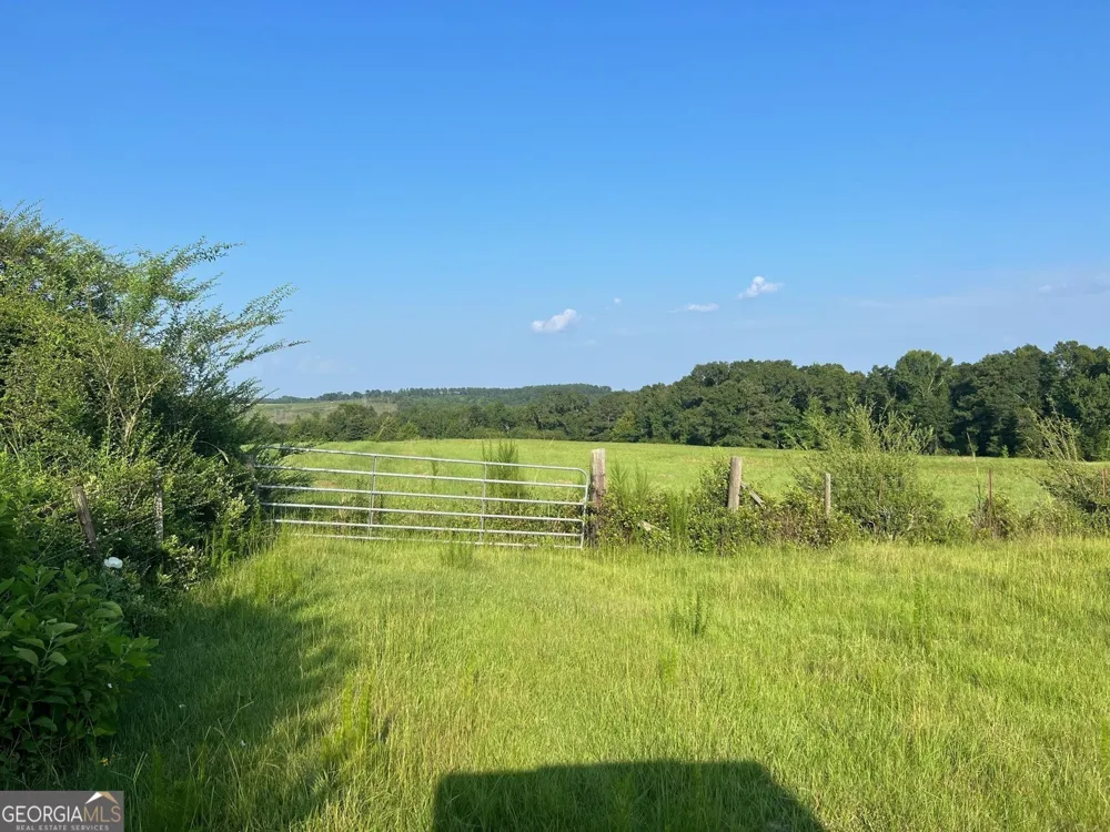 0 53 HWY Clayton, AL 36016