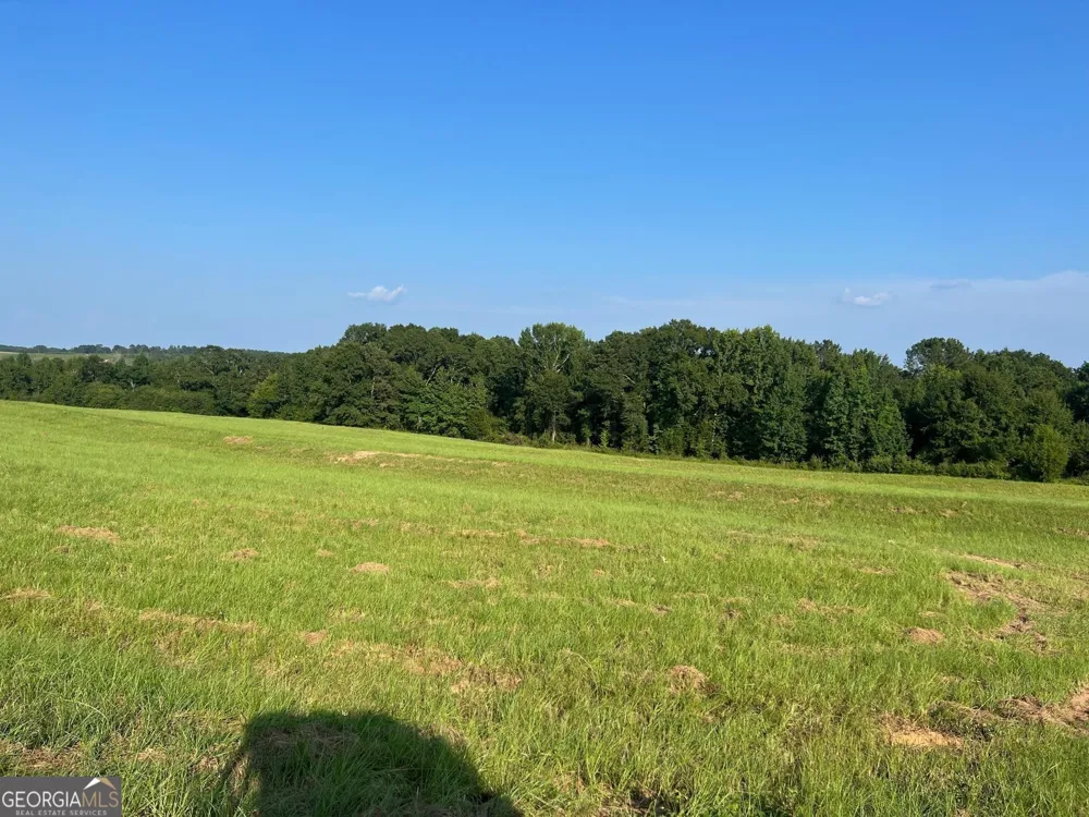 0 53 HWY Clayton, AL 36016
