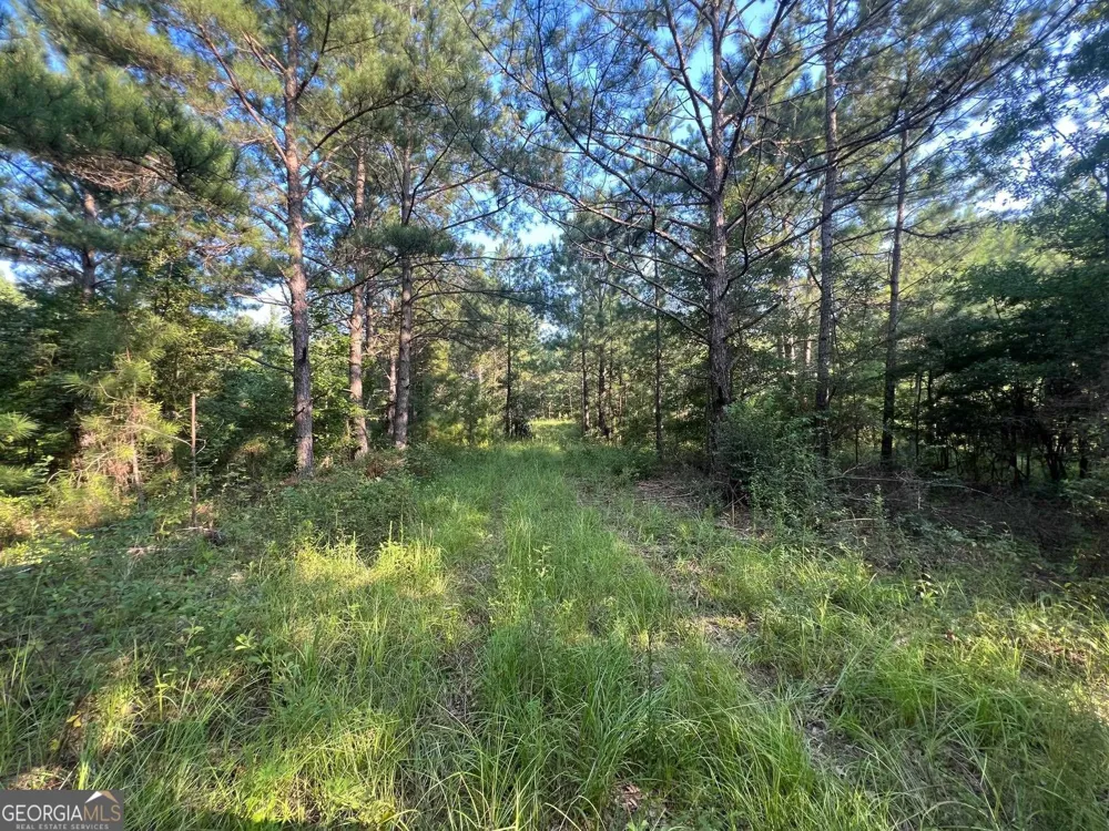0 53 HWY Clayton, AL 36016
