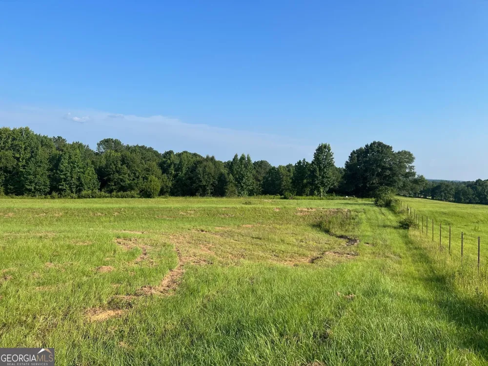 0 53 HWY Clayton, AL 36016