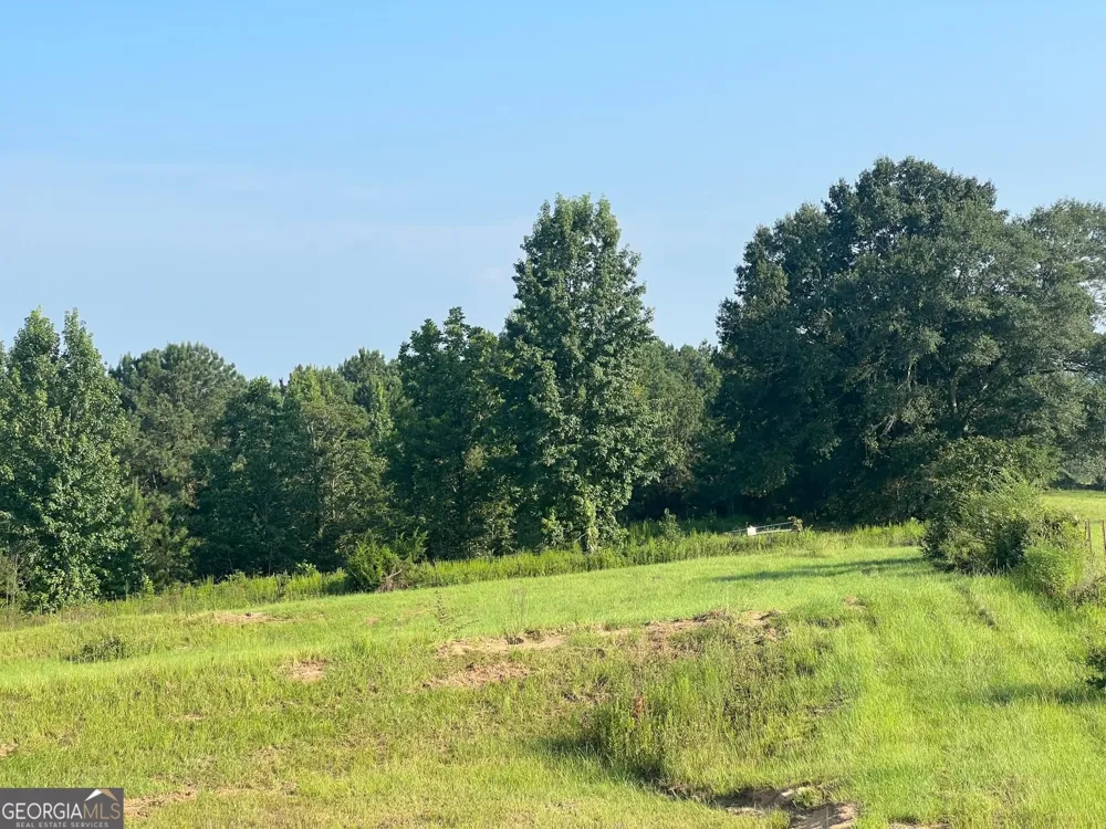 0 53 HWY Clayton, AL 36016