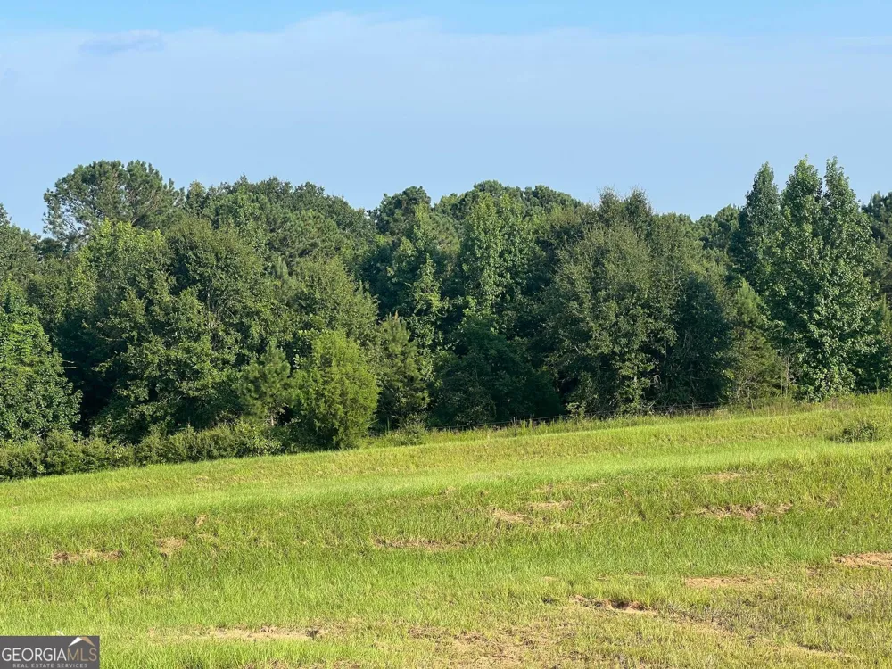 0 53 HWY Clayton, AL 36016