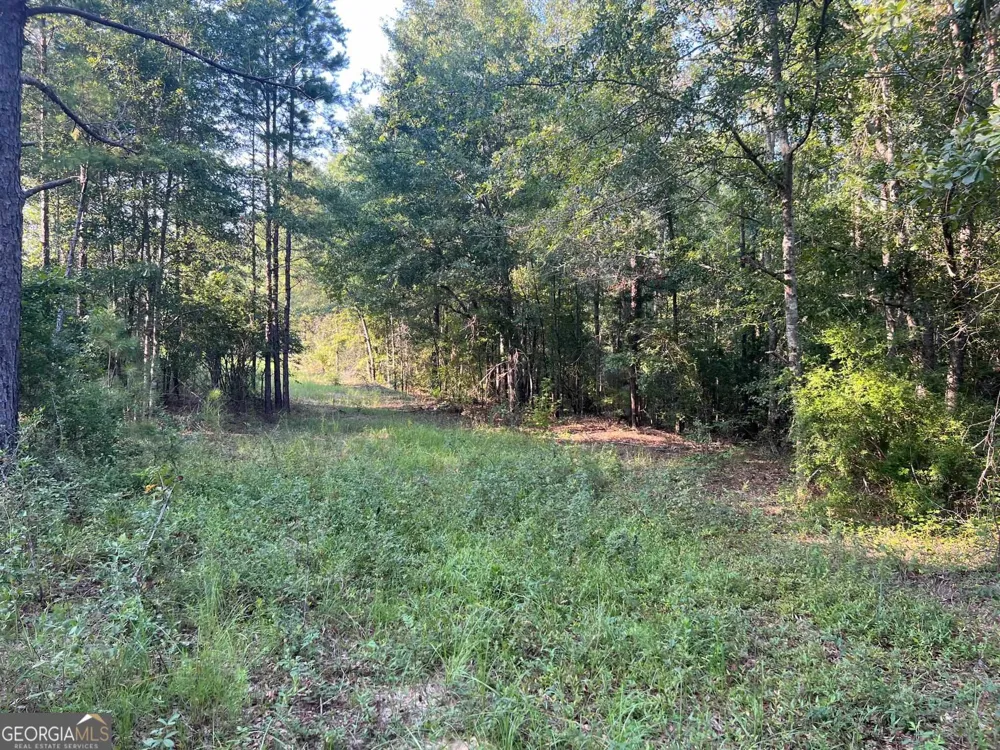 0 53 HWY Clayton, AL 36016