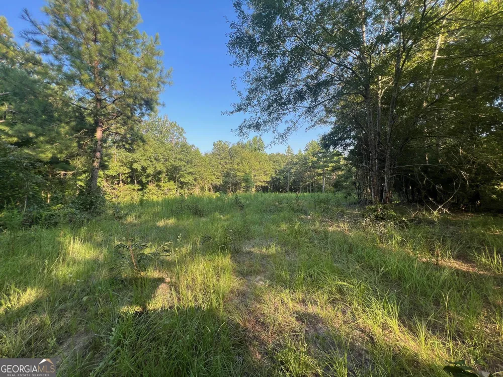 0 53 HWY Clayton, AL 36016
