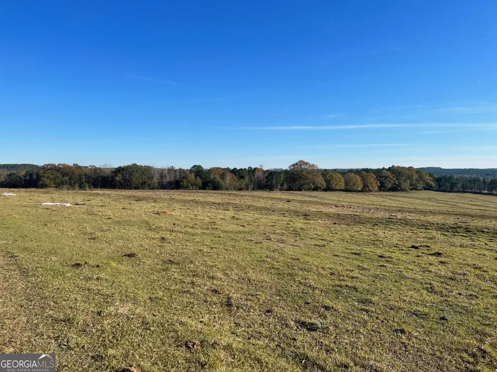 0 53 HWY Clayton, AL 36016