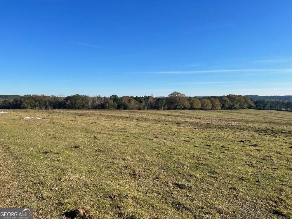 0 53 HWY Clayton, AL 36016