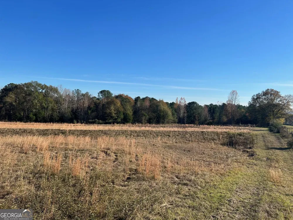 0 53 HWY Clayton, AL 36016