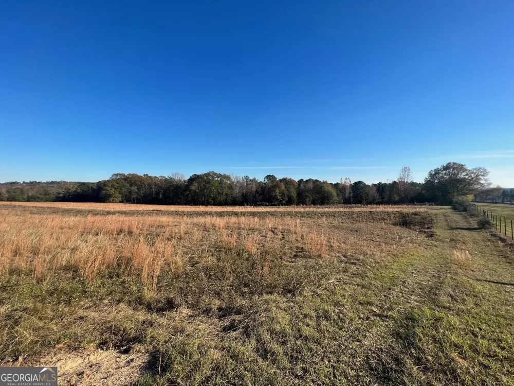 0 53 HWY Clayton, AL 36016