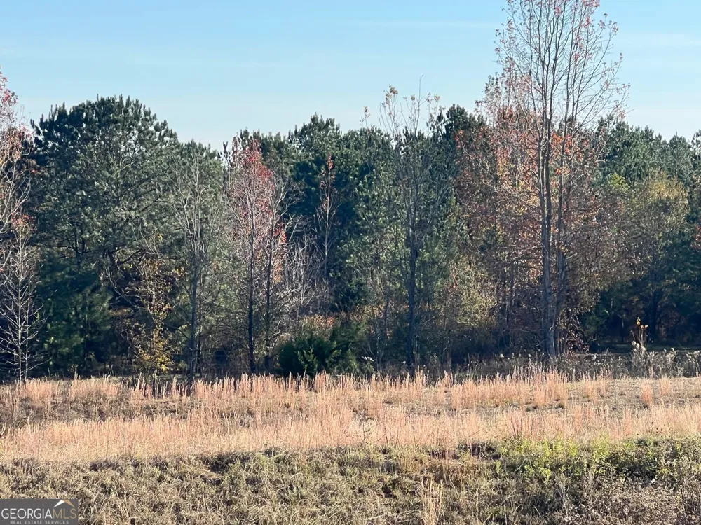 0 53 HWY Clayton, AL 36016