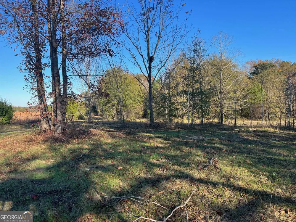 0 53 HWY Clayton, AL 36016