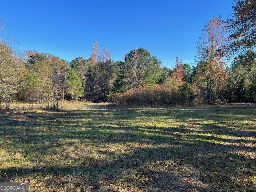 0 53 HWY Clayton, AL 36016
