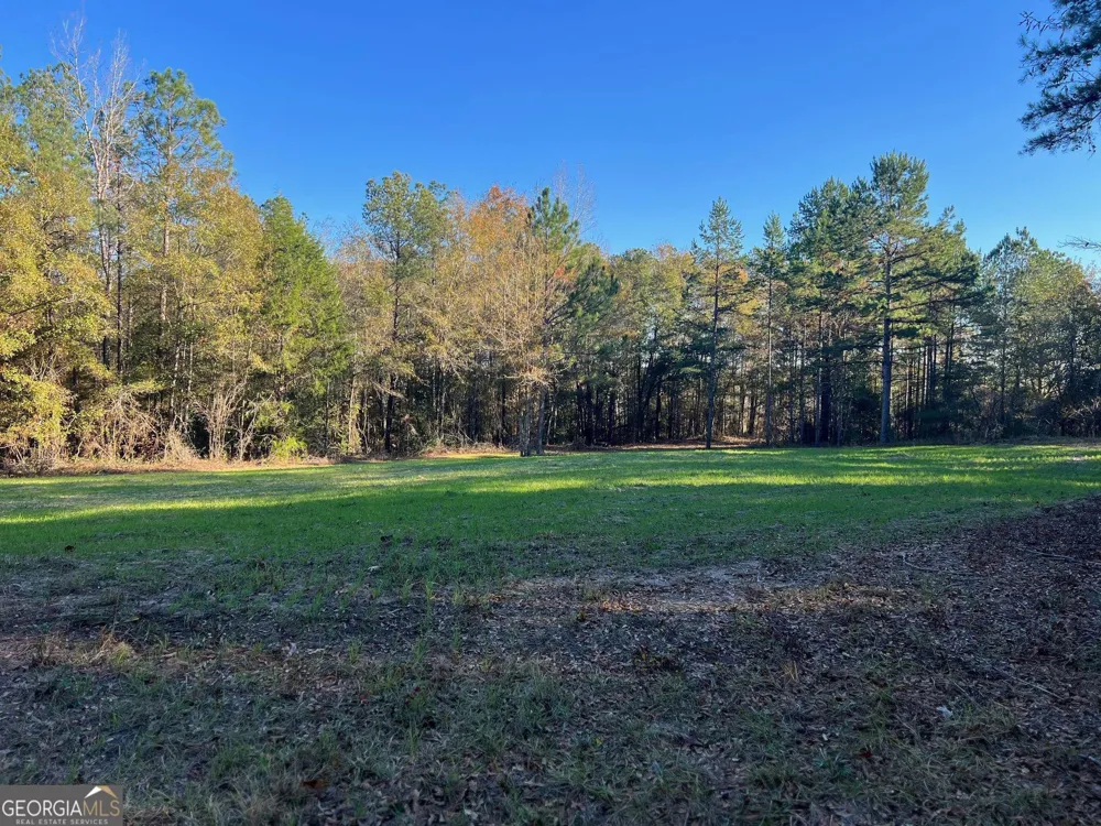 0 53 HWY Clayton, AL 36016