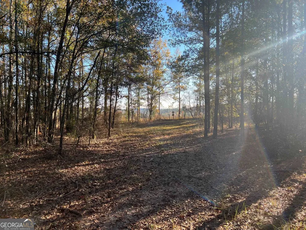 0 53 HWY Clayton, AL 36016