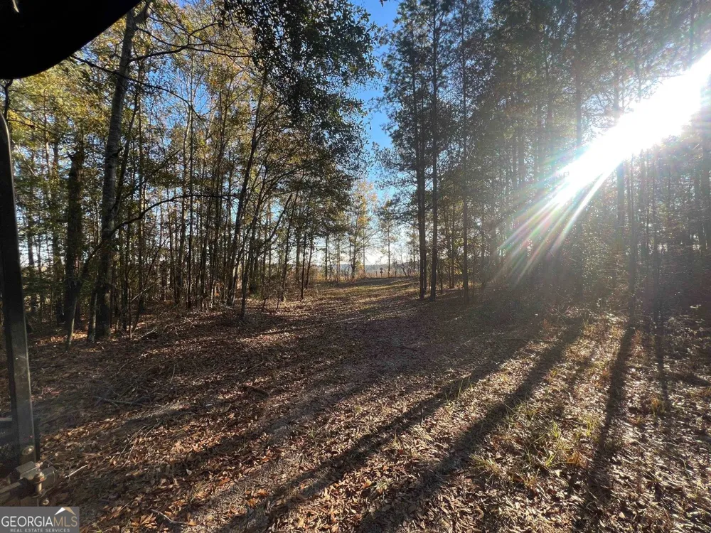 0 53 HWY Clayton, AL 36016
