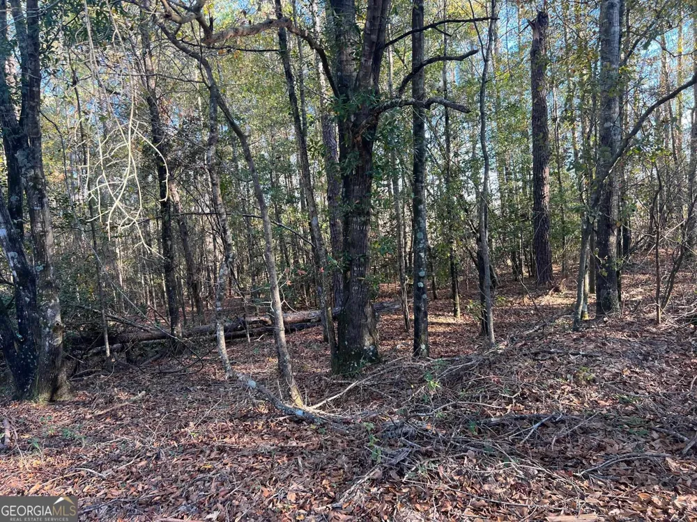 0 53 HWY Clayton, AL 36016