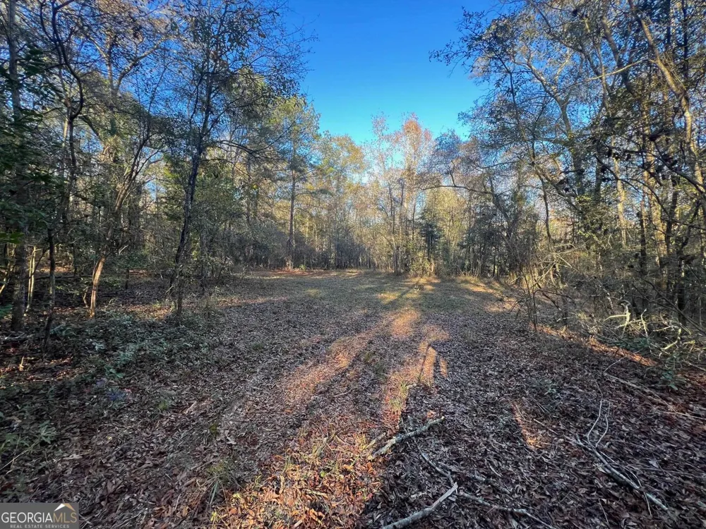 0 53 HWY Clayton, AL 36016