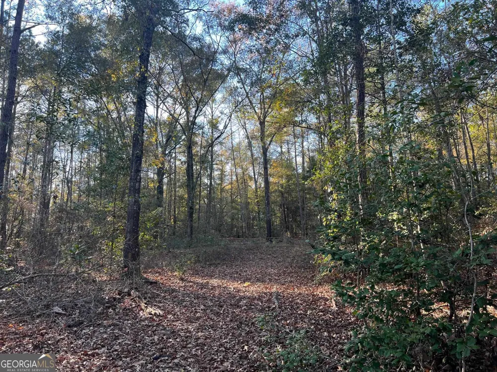 0 53 HWY Clayton, AL 36016