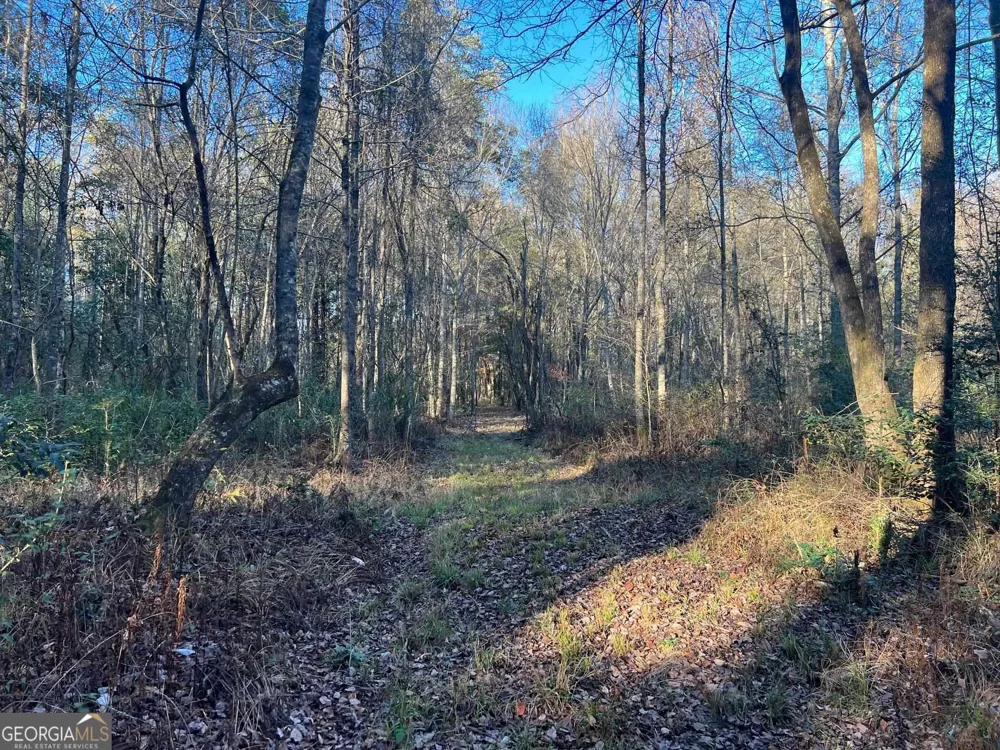 0 53 HWY Clayton, AL 36016