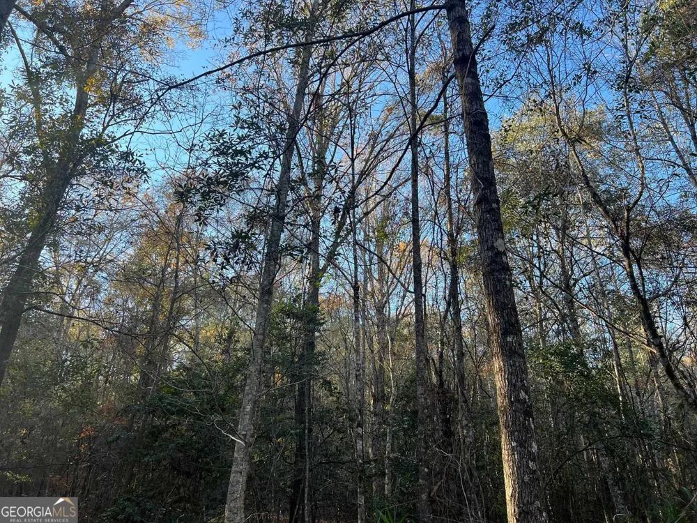 0 53 HWY Clayton, AL 36016
