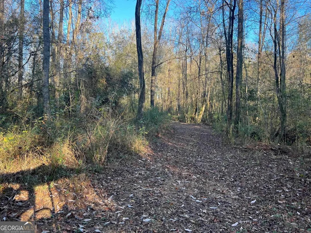 0 53 HWY Clayton, AL 36016