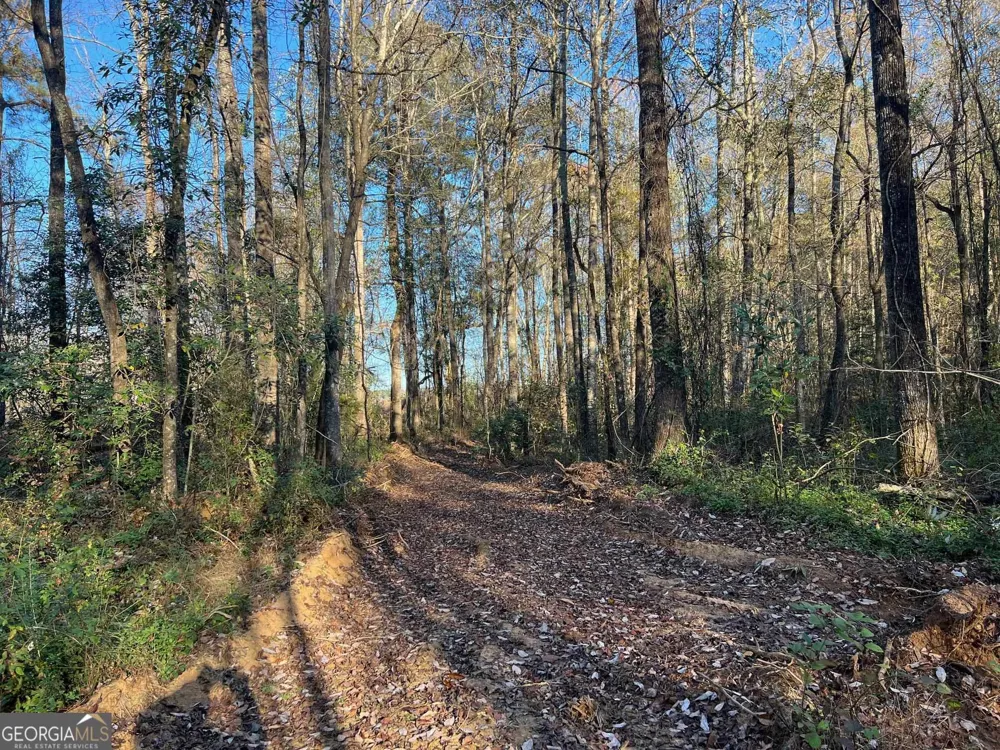 0 53 HWY Clayton, AL 36016