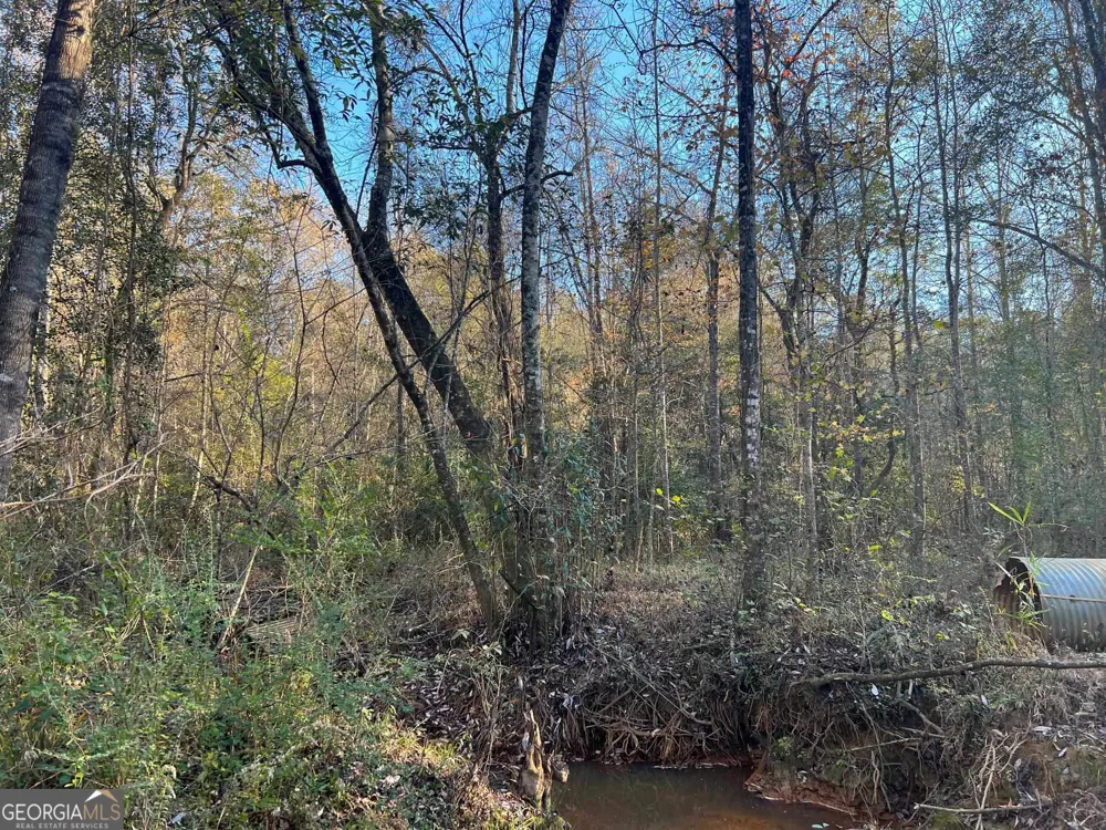 0 53 HWY Clayton, AL 36016