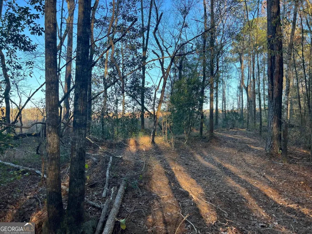 0 53 HWY Clayton, AL 36016