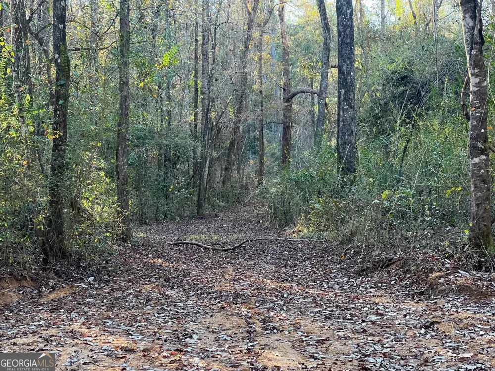 0 53 HWY Clayton, AL 36016