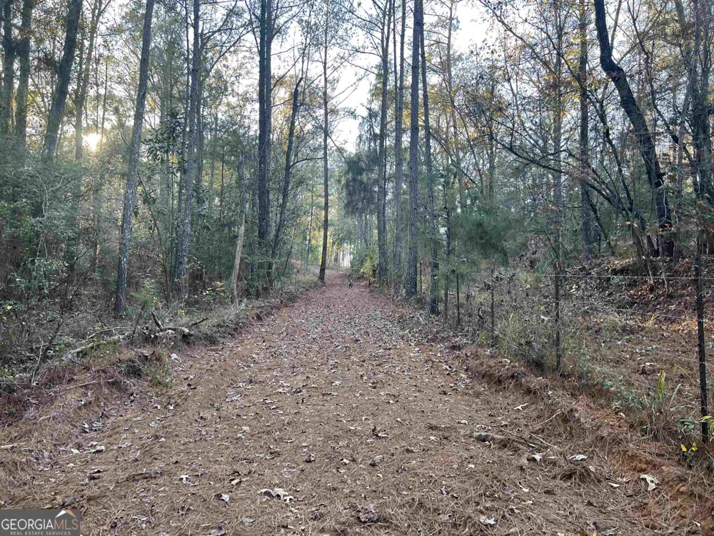 0 53 HWY Clayton, AL 36016