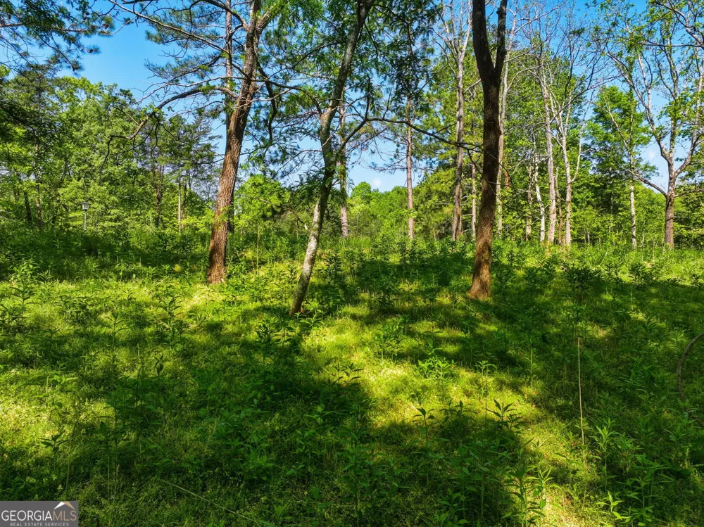 LOT 3 Summit DR Dahlonega, GA 30533