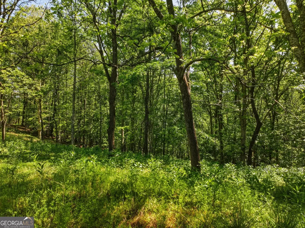 LOT 3 Summit DR Dahlonega, GA 30533