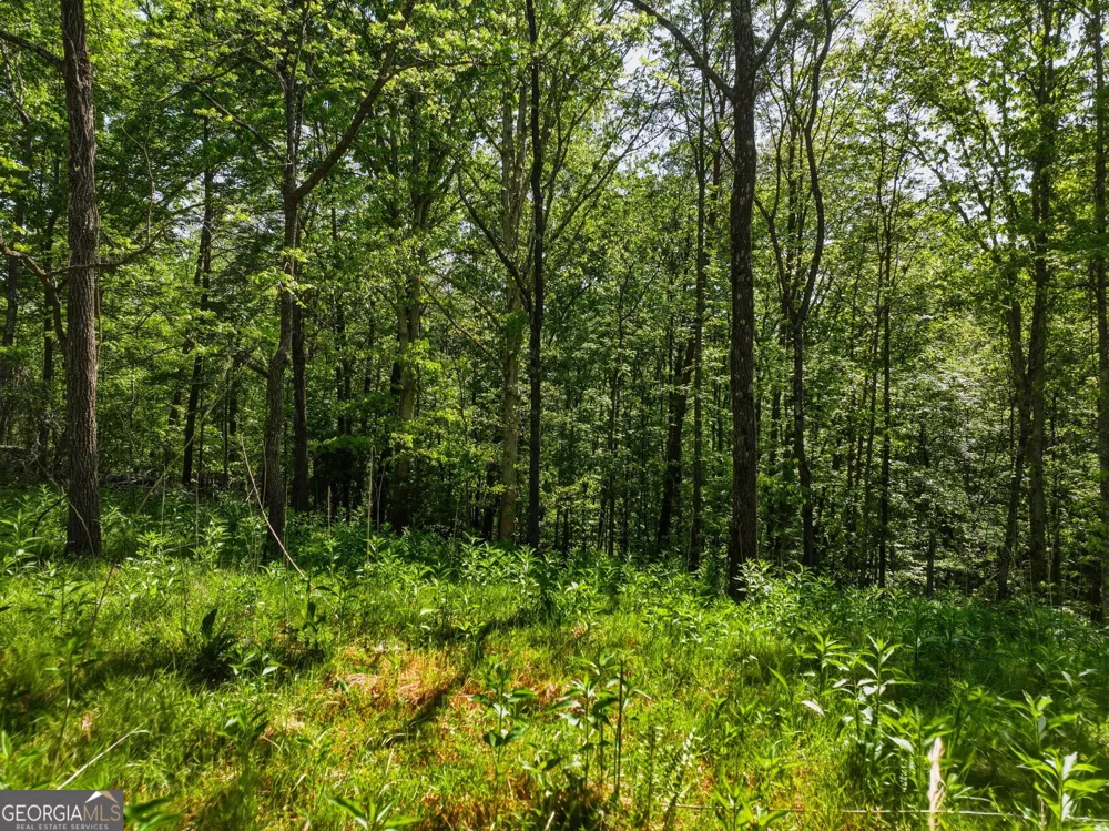LOT 3 Summit DR Dahlonega, GA 30533