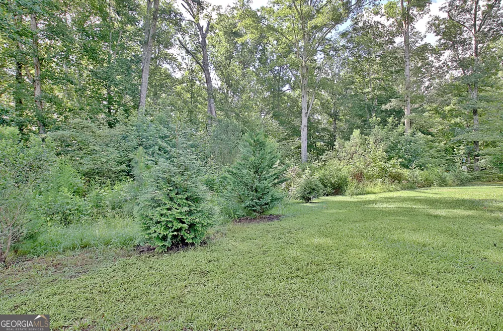 134 Old Bailey Farms DR Senoia, GA 30276
