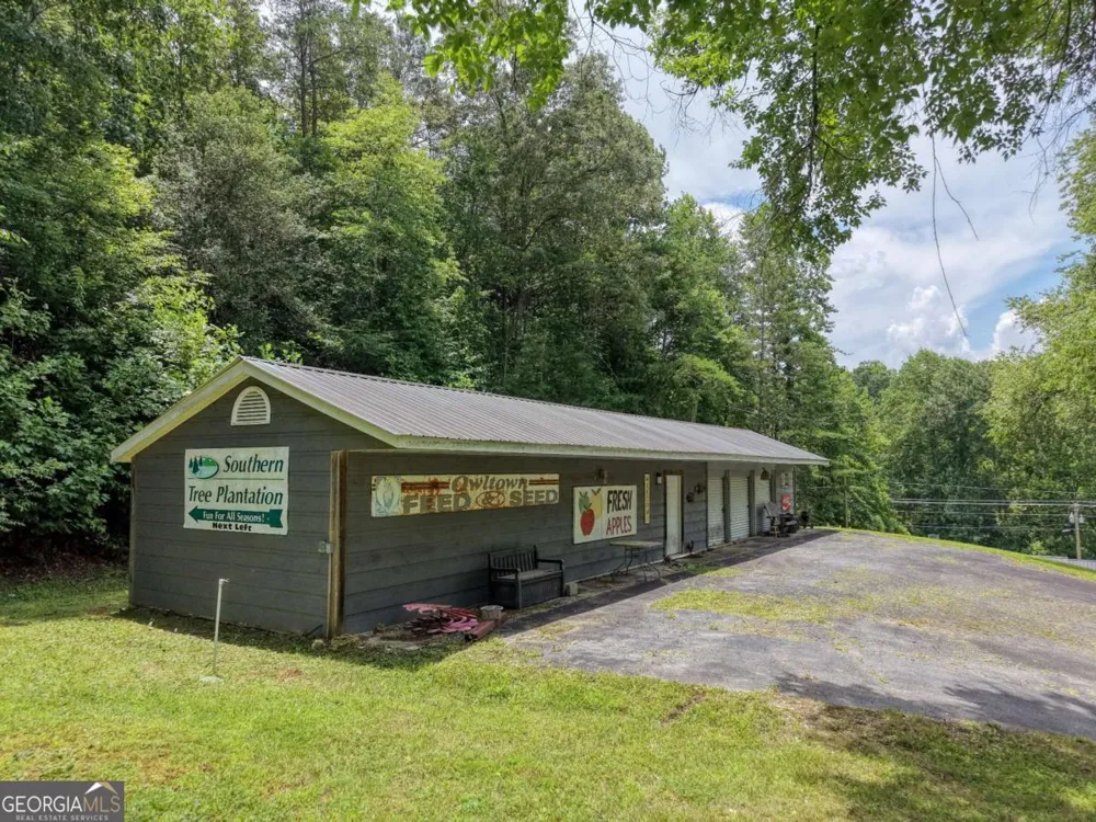 119 Satterfield PL Blairsville, GA 30512