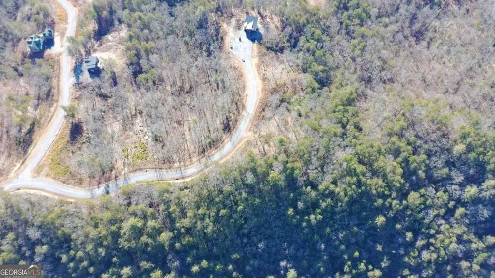 LOT 53 Mountain Laurel RDG Mineral Bluff, GA 30559