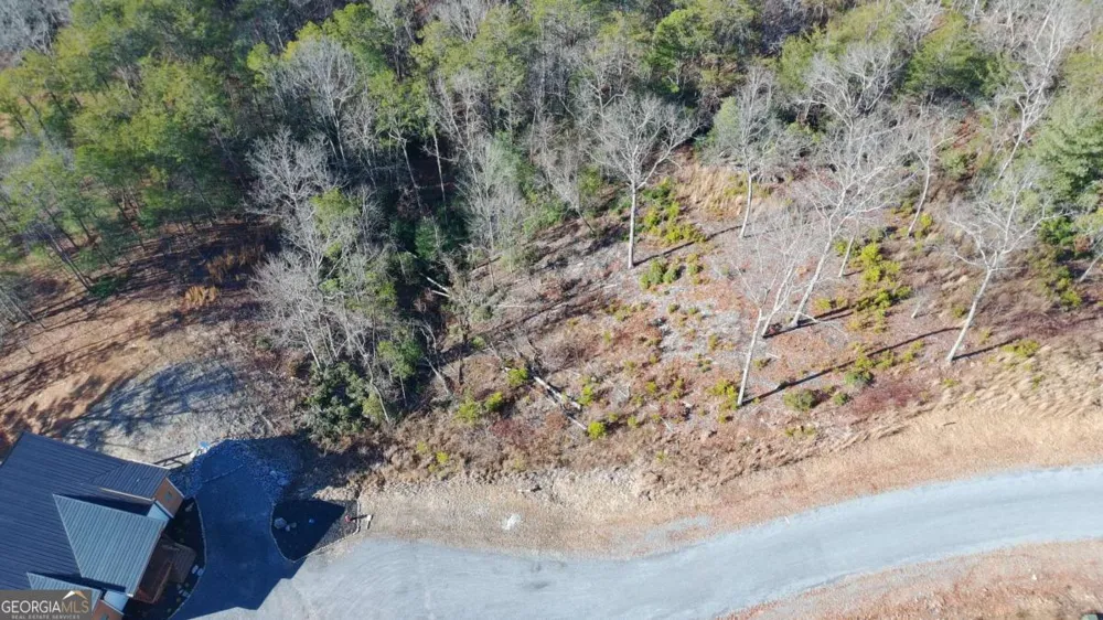 LOT 53 Mountain Laurel RDG Mineral Bluff, GA 30559