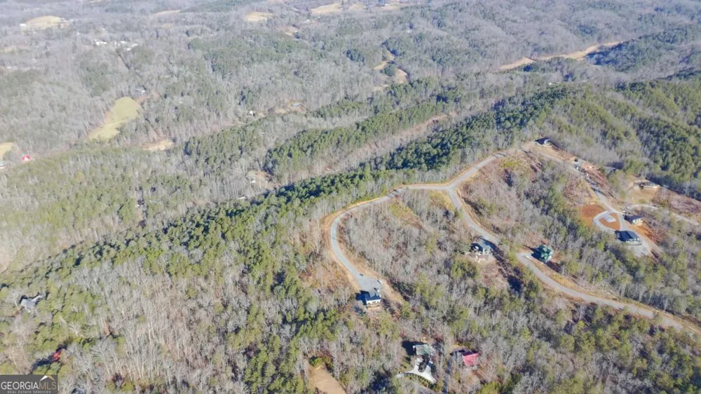 LOT 53 Mountain Laurel RDG Mineral Bluff, GA 30559