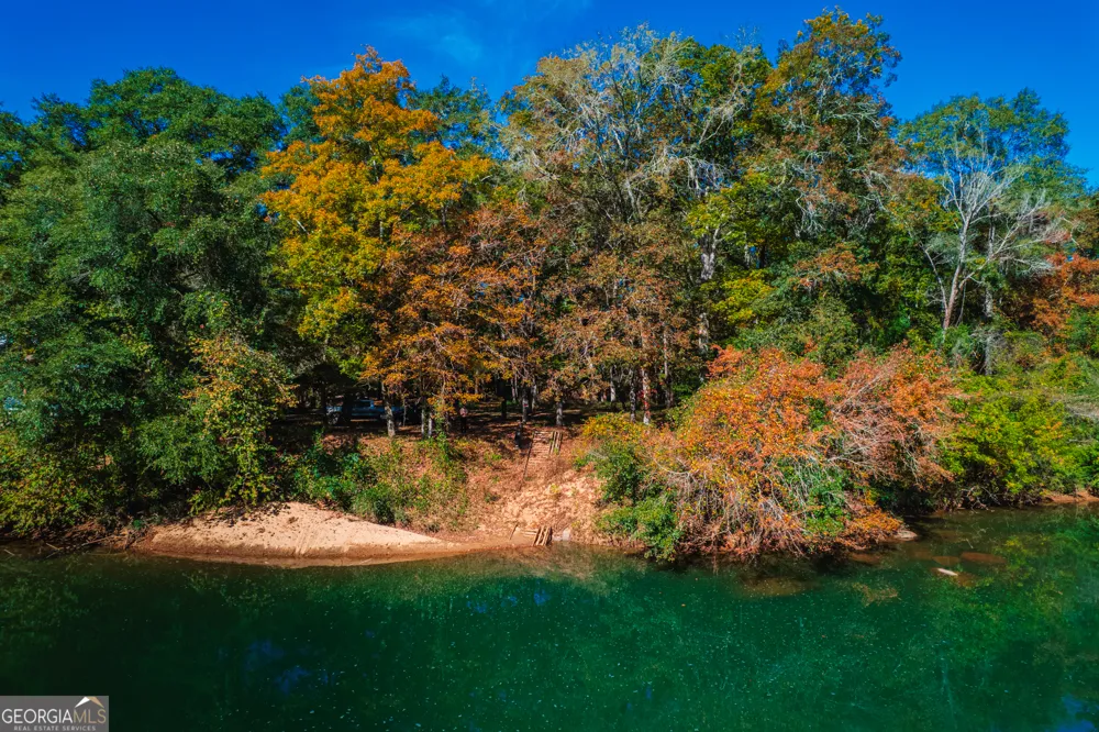 464 Old Dames Ferry RD Juliette, GA 31046