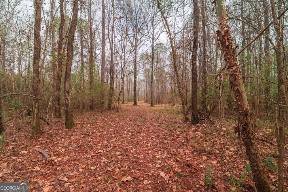 0 Turkey Run RD Juliette, GA 31046