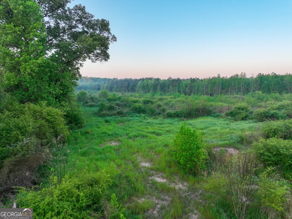0 Zebulon RD Milner, GA 30257