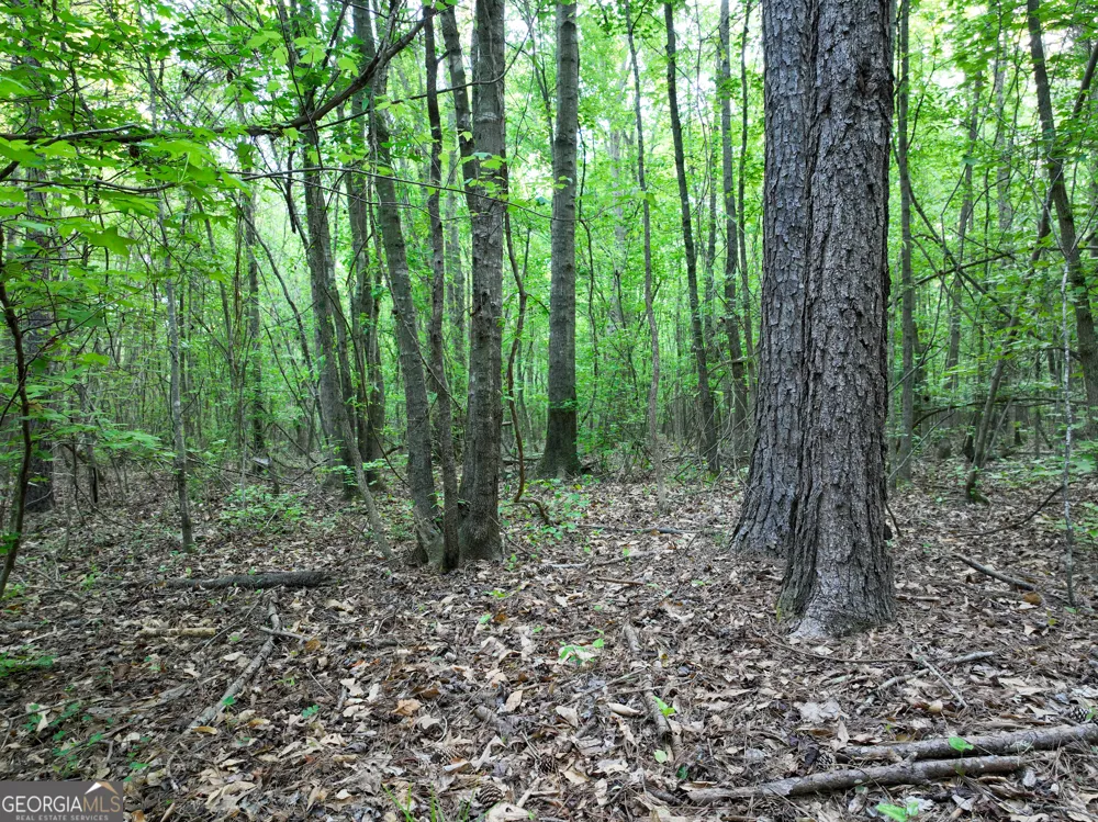 0 Zebulon RD Milner, GA 30257