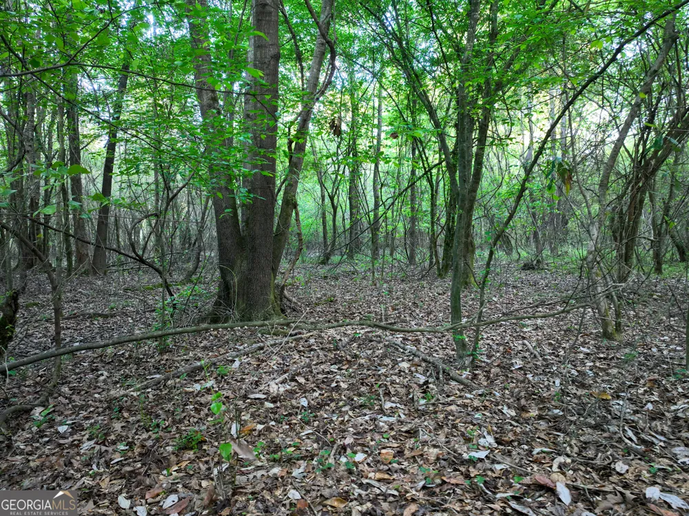 0 Zebulon RD Milner, GA 30257