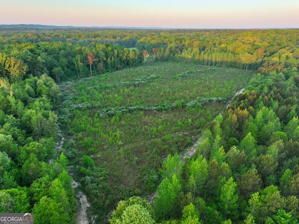 0 Zebulon RD Milner, GA 30257