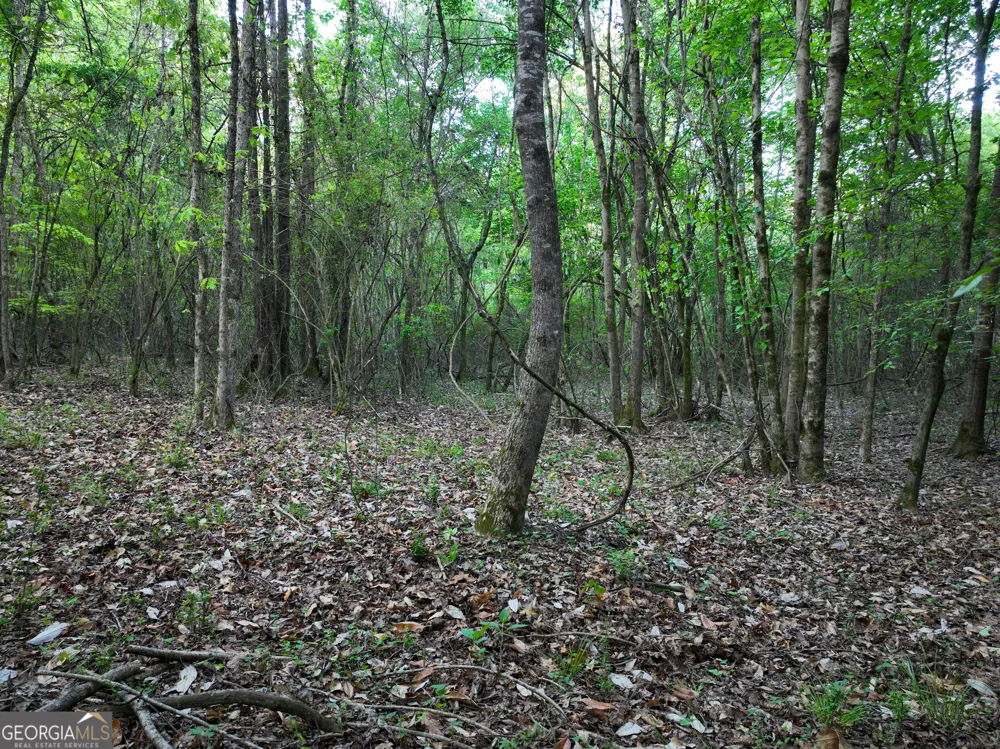0 Zebulon RD Milner, GA 30257